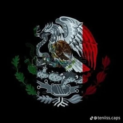 Jostorr02167622's profile picture. 