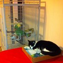 Norma Holland - @jjean711 - Twitter