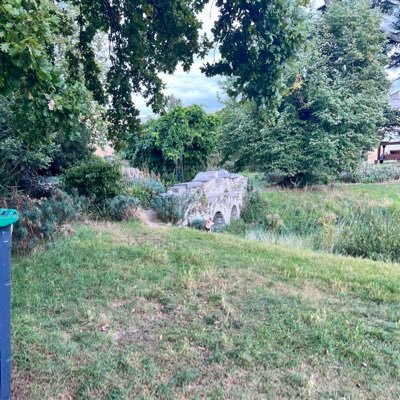 lyxiic's profile picture. 