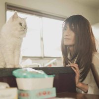 富沢ウメオ@カメラニャン🐈⬛ (@umetomi1125) 's Twitter Profile Photo 富沢ウメオ@カメラニャン🐈⬛ (@umetomi1125) 's Twitter Profile Photo