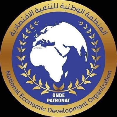 Roubai Nasreddine Mounir, président de l'Organisation nationale de développement économique (ONDE) en Algérie