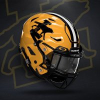 Lincolnton Wolves Football (@lincolntonfb) 's Twitter Profile
