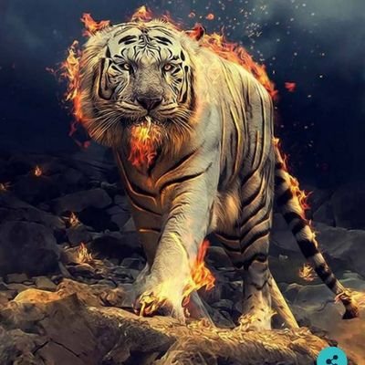 philip120110396's profile picture. socioalearning username lov