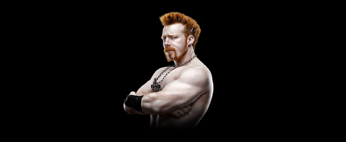 I'm Not Sheamus Follow For All Info On WWE Superstar Sheamus