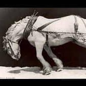 Mr_SClay's profile picture. 