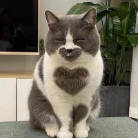 π (@pykugc8) 's Twitter Profile