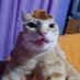 Mick (@neomunaa_) Twitter profile photo Mick (@neomunaa_) Twitter profile photo