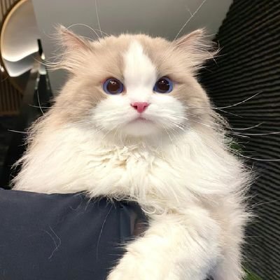 xuanyanxin07617's profile picture. 我成年了并不是未成年