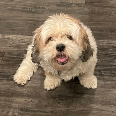 dwyer_mrs's profile picture. 1 in 8 billion