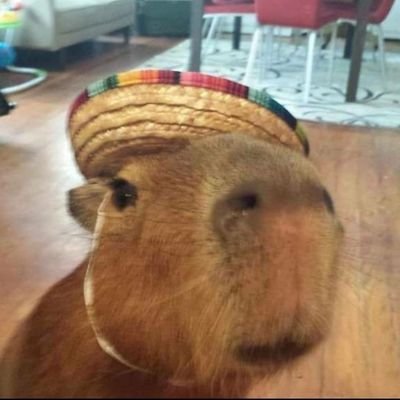 txaty2000's profile picture. 