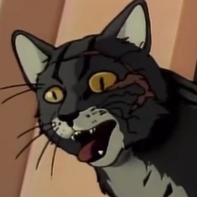 des_arraigo's profile picture. 