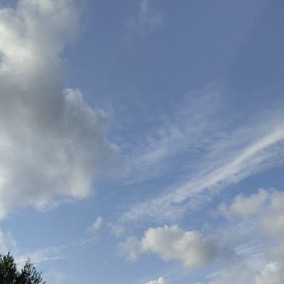 MuktharAmiyan's profile picture. 