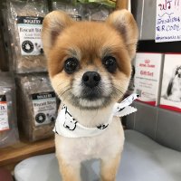 ˙˚°✰ อซ / 어서 ⋰˚☆ (@_iceseung) 's Twitter Profile