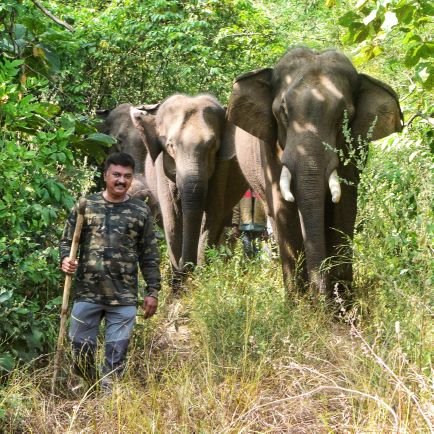 Founder - President Trunk Call The Wildlife Foundation.