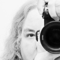Deborah Pierce, MD MPH 📷🪷🐝 (@beesting14618) 's Twitter Profile