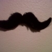 p-a souchard (@pa_souchard) 's Twitter Profile Photo