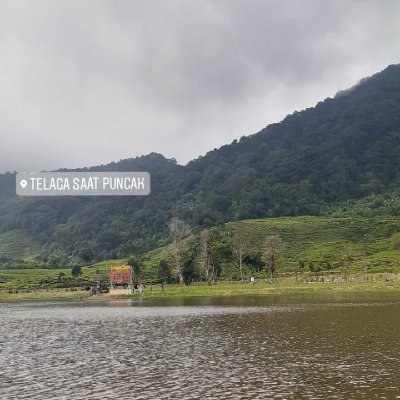 DeniSaput17226's profile picture. 