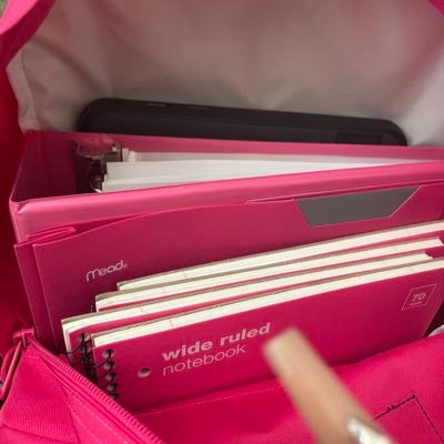 SANDIEEELOL's profile picture. 