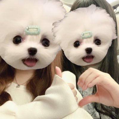 mnechandesu's profile picture. もぐもぐちゃんねる(⸝⸝ɞ̴̶̷ ·̫ ‹⸝⸝ᐡ)~☆