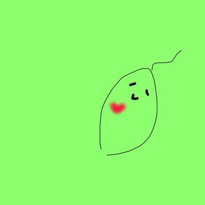 蟲主です🦗 緑色が好きなので主に緑色のカードを使って対戦をしています。 ボードゲームも大好きです。 広島蟲神器公認サポーター 1809もみじ杯(@momigi64) #毎日蟲神器