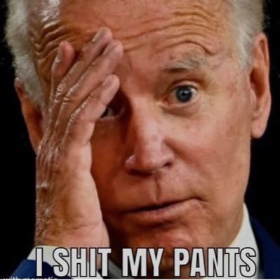 JBidensearpiece Profile Picture