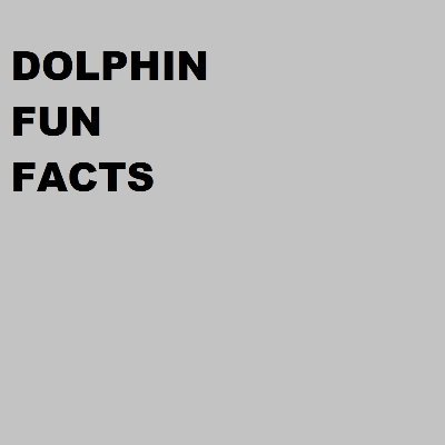 FUN FACTS ABOUT DOLPHINS