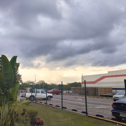 machn0616891's profile picture. 