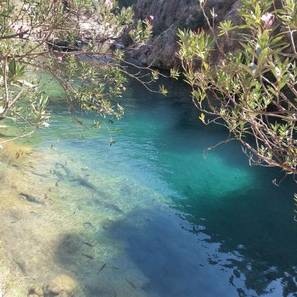 jonnattanmerch3's profile picture. 