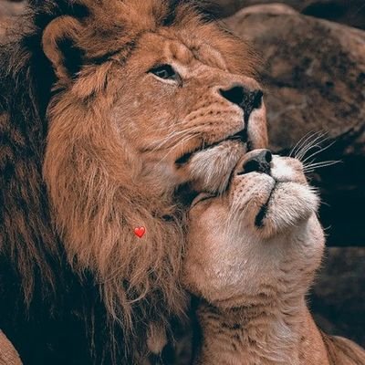 Alhmaaag's profile picture. رقاوي💪🏼