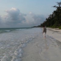 withXguru (@withxguru) 's Twitter Profile