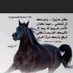 عشقي هواك (@bibi93785375) Twitter profile photo عشقي هواك (@bibi93785375) Twitter profile photo