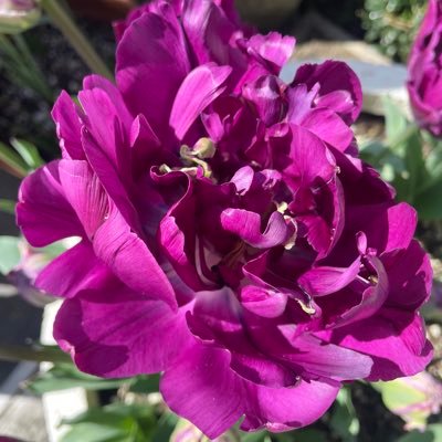 CJanebai's profile picture. Picking the best people to to do some of the best things #contracting #leasing #greatjobs #greatclients.