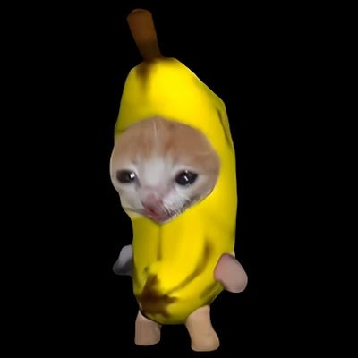 バナナ猫 バナナ猫【公式】 (@BananaCatAJ) / Posts / X