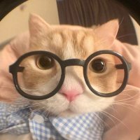 Ninie✨ (@jn_ninie) 's Twitter Profile