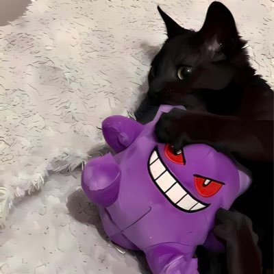onlyqlms's profile picture. idk