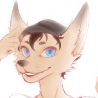 Bran🦊🐾🏳️🌈🔞 (@bran_fennec) 's Twitter Profile
