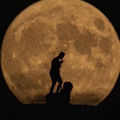 ilyasatalay's profile picture. Mülkiye & Beşiktaş