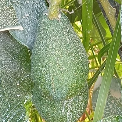 AVAKADOCU07's profile picture. Mutluluğun formülü çok açık. İyilik yapmaktır.