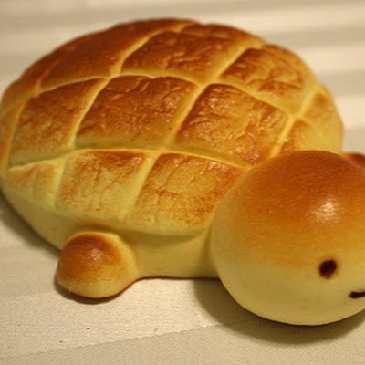 BreadTurtle Profile