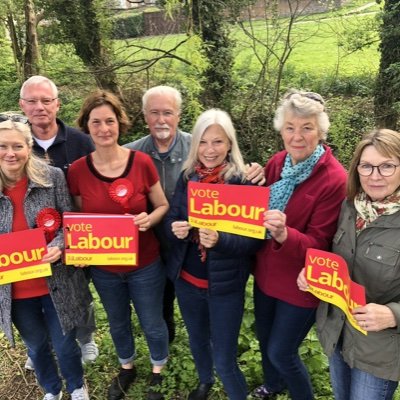 SouthDownsLabour Profile