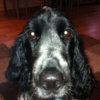 Paul Freeman (@paulfreeuk) 's Twitter Profile