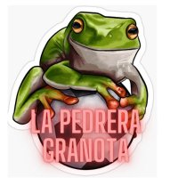 @lapedreragranota(@pedreragranota) 's Twitter Profile Photo