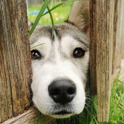 allen412084889's profile picture. 