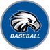 Kirkwood Baseball (@KCC_BSB) Twitter profile photo