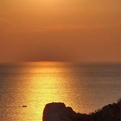 AndBertini's profile picture. Greenpeace but not only