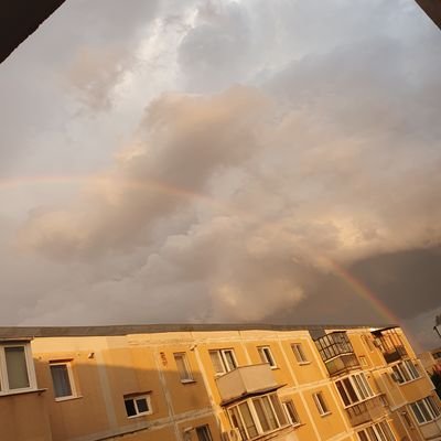 RazvanFeie46964's profile picture. 