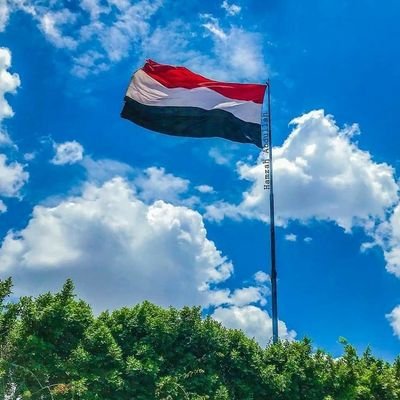 اخبار اليمن 🇾🇪 🇾🇪🇾🇪🇾🇪🇾🇪🇾🇪🇾🇪🇾🇪 Profile