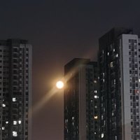 丝光球服爱好者，喜轻微SM (@si_guang_sm) 's Twitter Profile