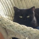 Leo Baker - @bake71076115 - Twitter