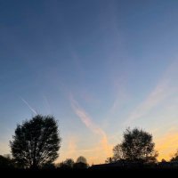 Gavin (@houser_gavin) 's Twitter Profile Photo